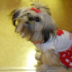 Meet your Posher, Sandra